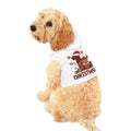 Pet Hoodie