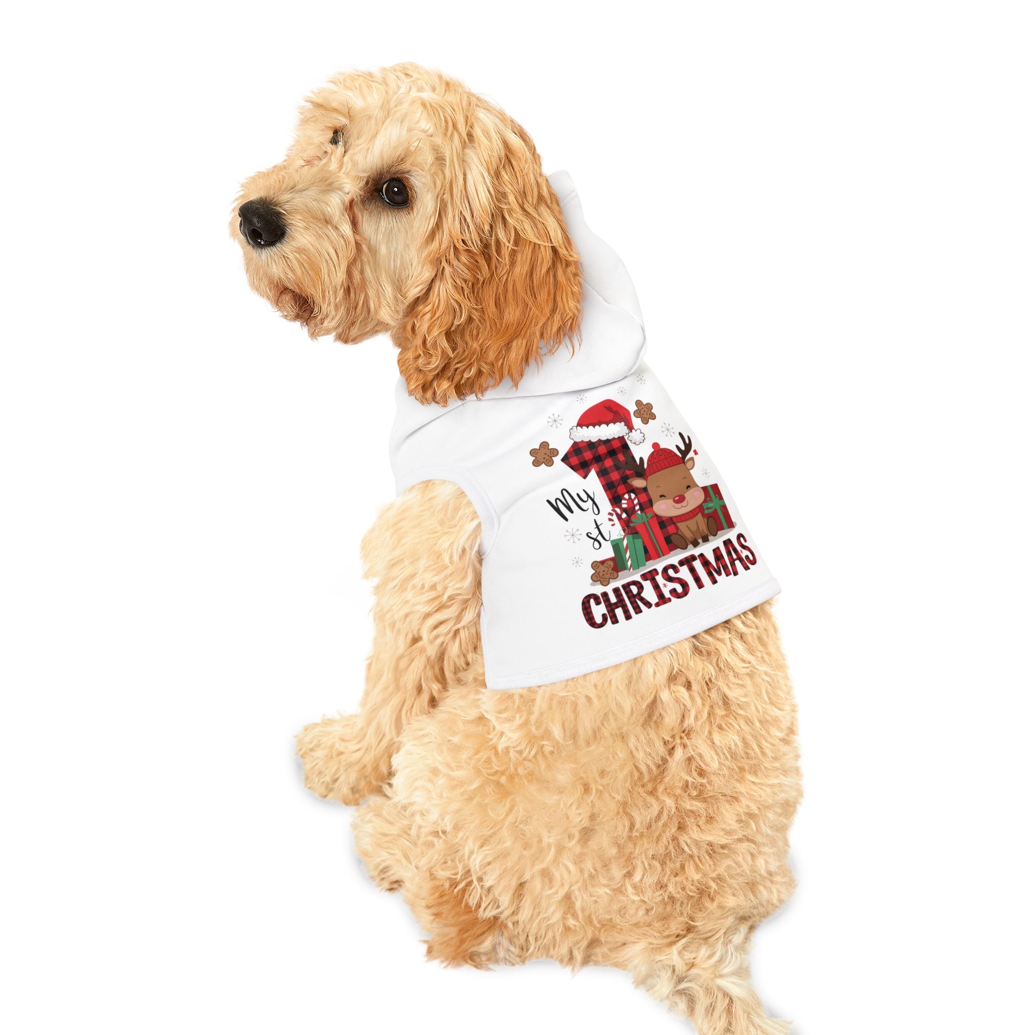 Pet Hoodie